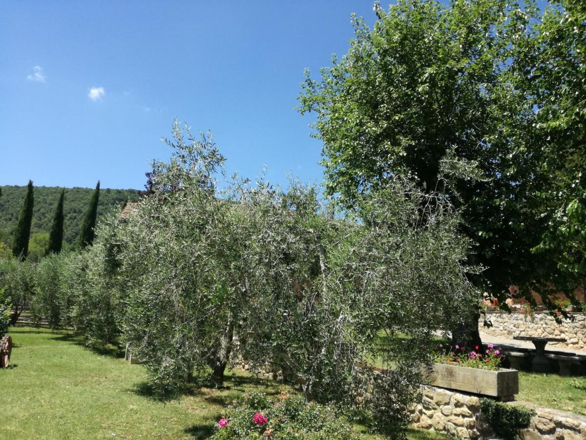 索维奇勒Borgo Di Barigianino公寓式酒店 外观 照片